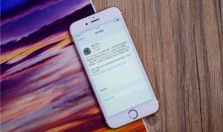 ios11.3.1